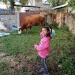 Ceylan