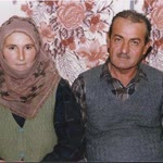 Hadi