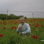 Selahattin