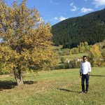 Ahmet