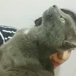 Fatma