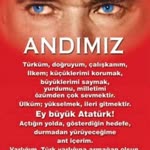 Erol