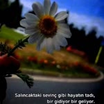 Ay Işiği