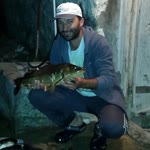 Serdar