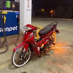 Erol
