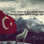Haluk