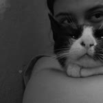 Ceren