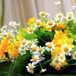 Sibel