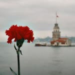 Melikenur