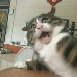 Neşe