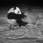 Can