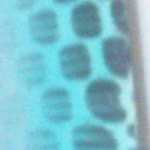 As As