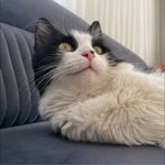 Fatma