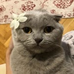 Nurşen