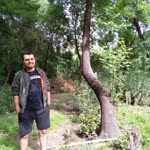 Sinan
