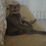Serhat