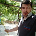 Seydi
