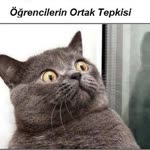 Ozgur
