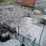 Mahmut