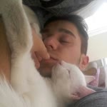 Ömer