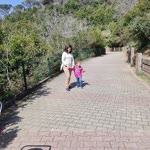 Elif