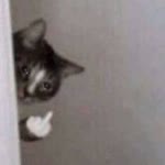 Hhhhhhhhh