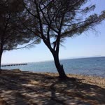 Okan