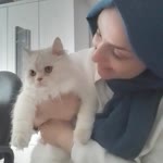 Derya
