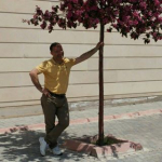 İdris