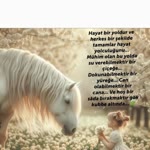 Saadet