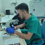 Kadir