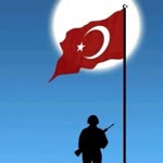 Doğan