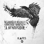 Soner