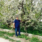 Mustafa