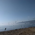Devrim