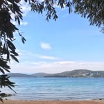 Derya