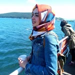 Seda