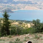 Havva