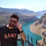 Şahin