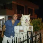 Ajlan