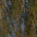 Erhan
