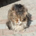 Hüseyin