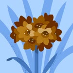 Arzu