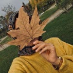 Kübra