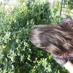 Rabia