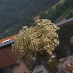Kadriye