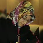Sibel
