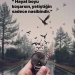 Temel