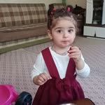Erol