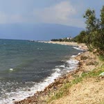 Seda